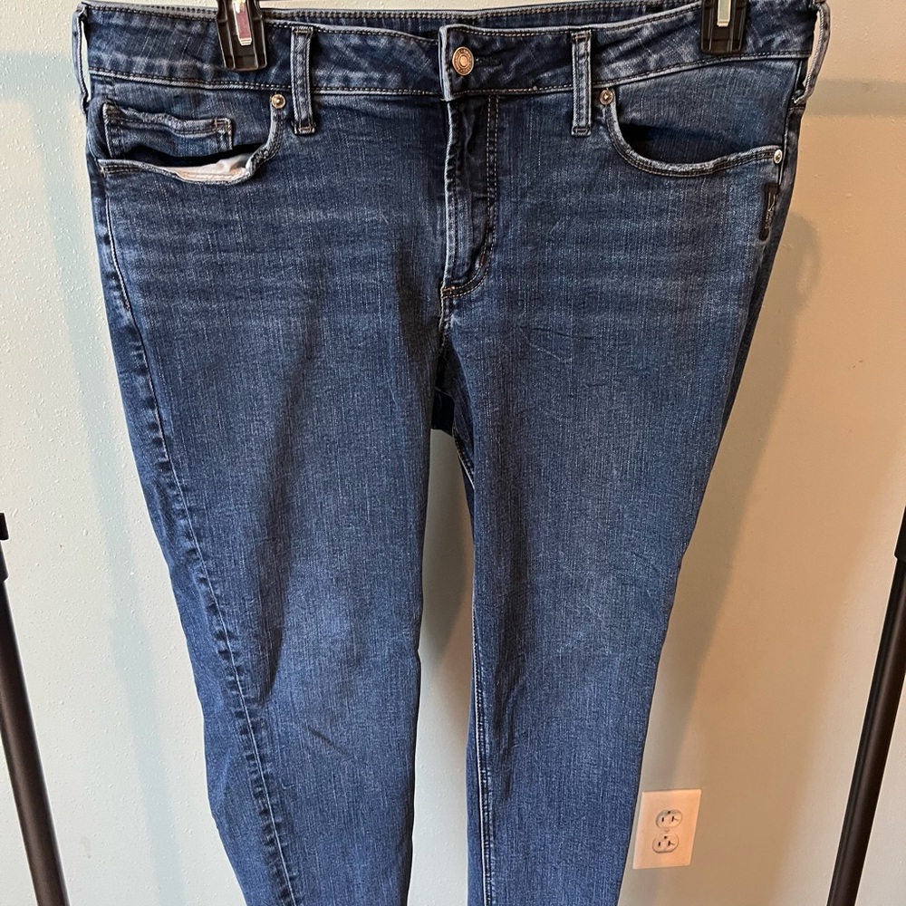Plus Size Silver Jeans Suki Skinny
